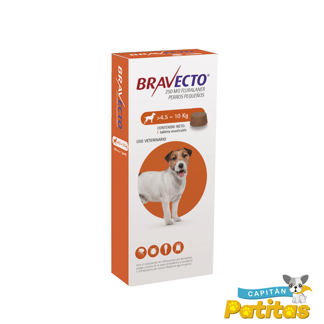 bravecto 1