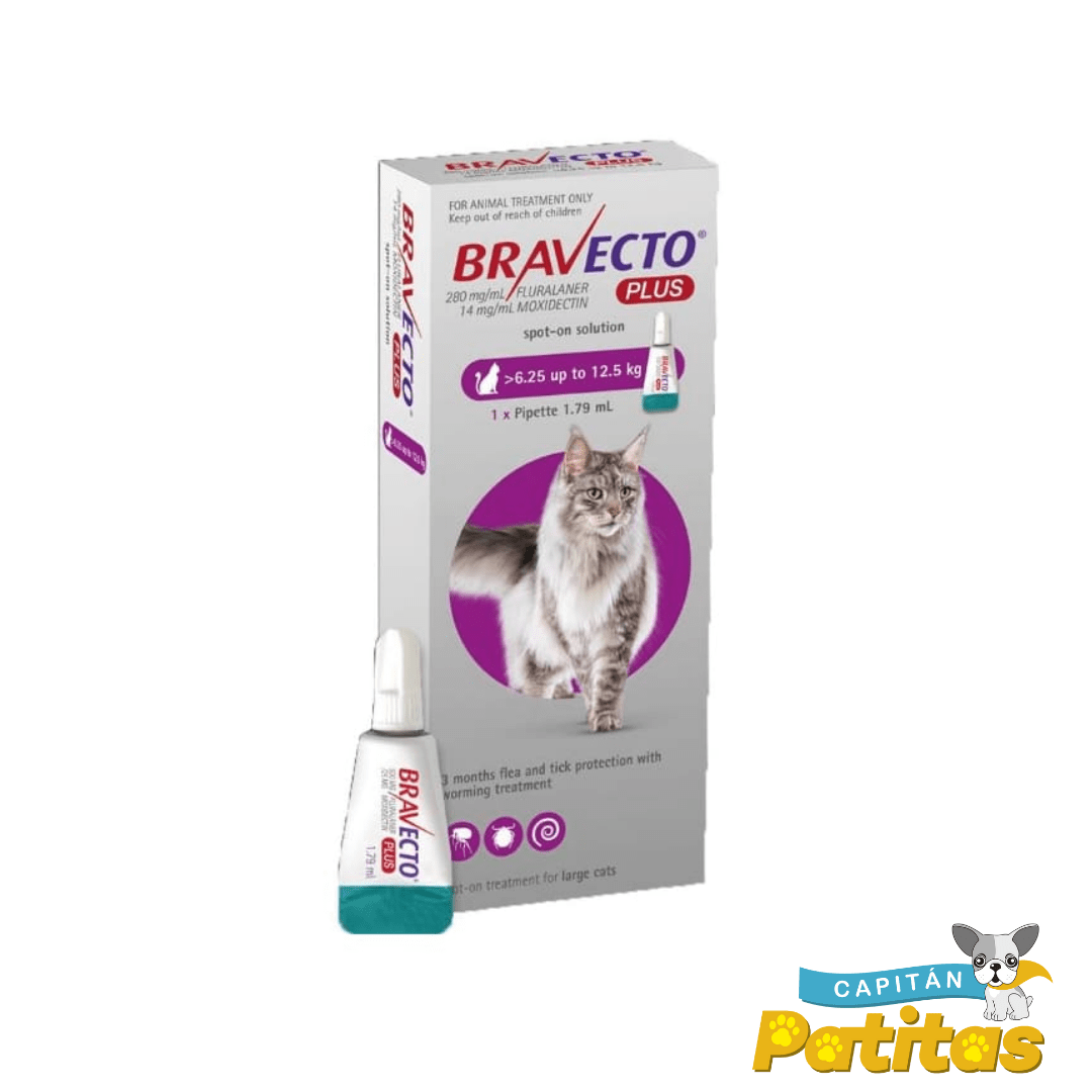 bravecto gato 3 capitan patitas
