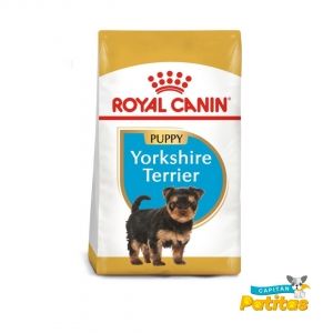 Royal canin