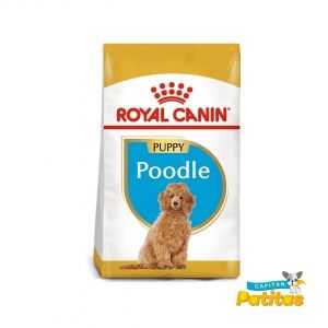 Royal canin