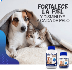 pelo-derme-300x295
