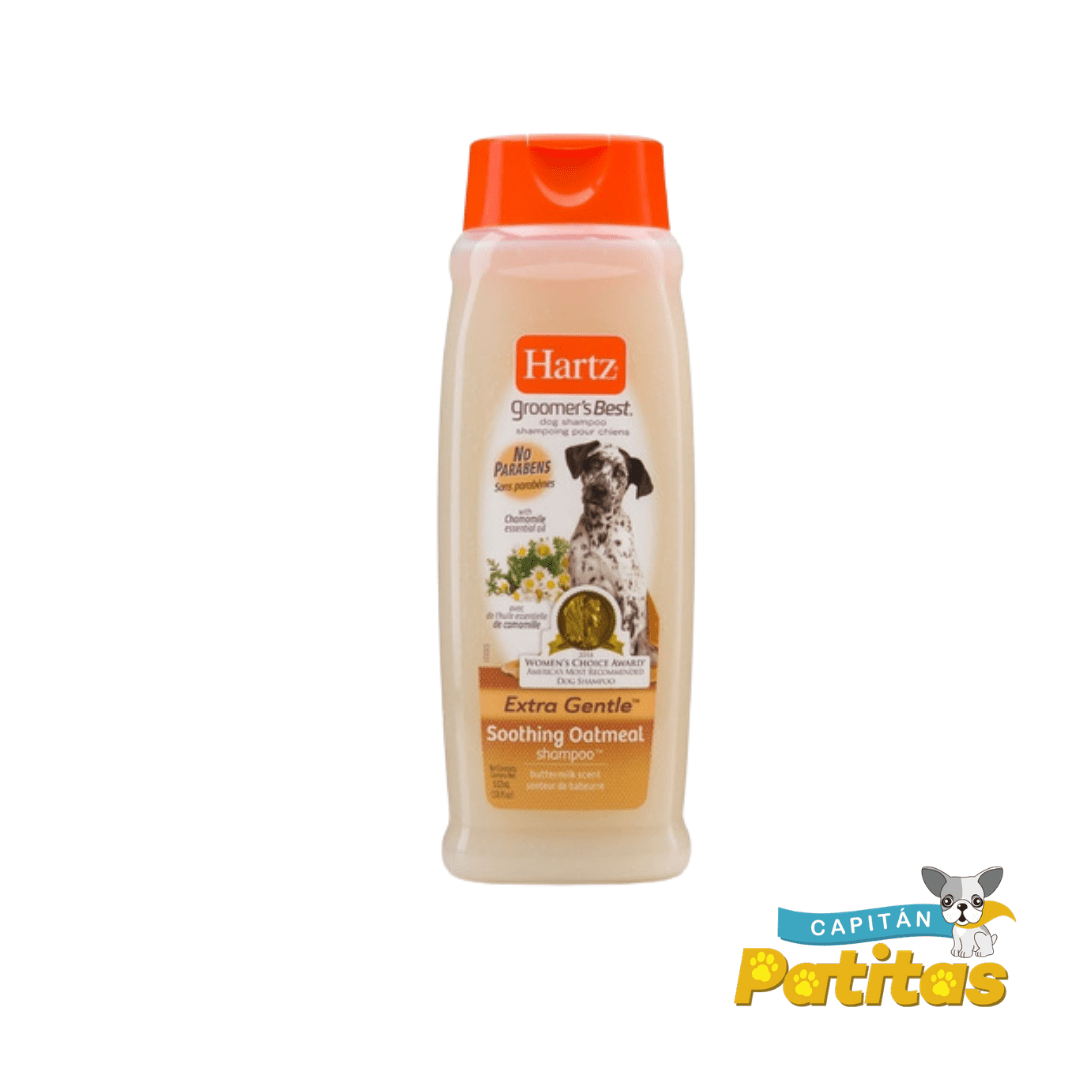 champú champú