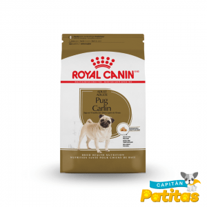 royal canin pug
