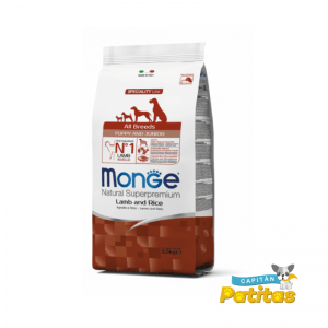 Monge