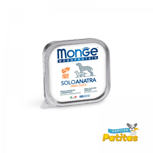 Monge